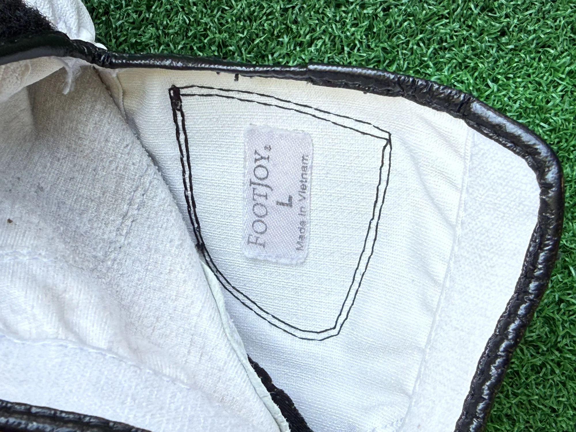 FootJoy GT Extreme Synthetic Golf Glove – Left Hand (Large)