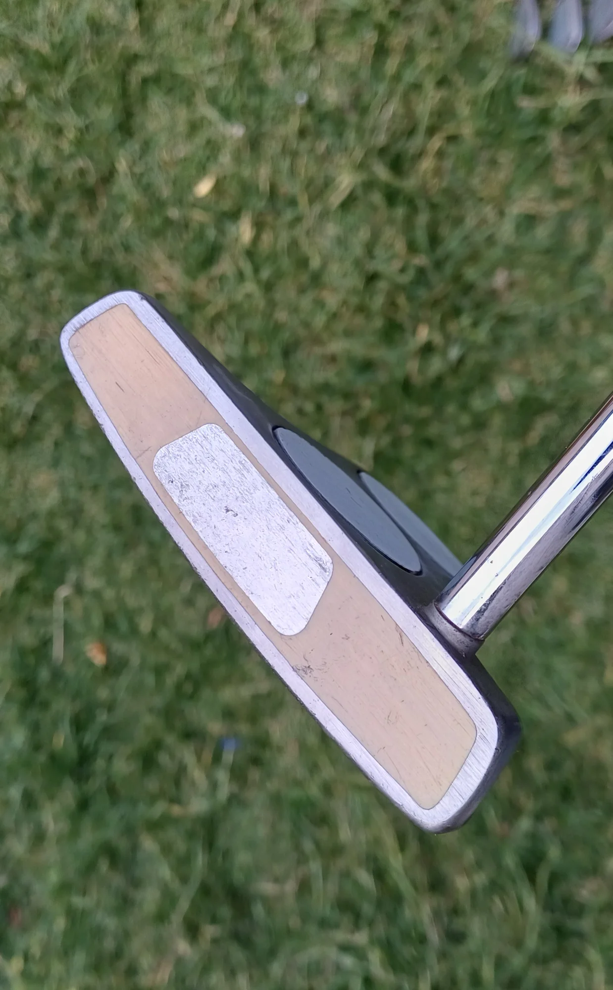Pin Seeker 2ball mallet putter