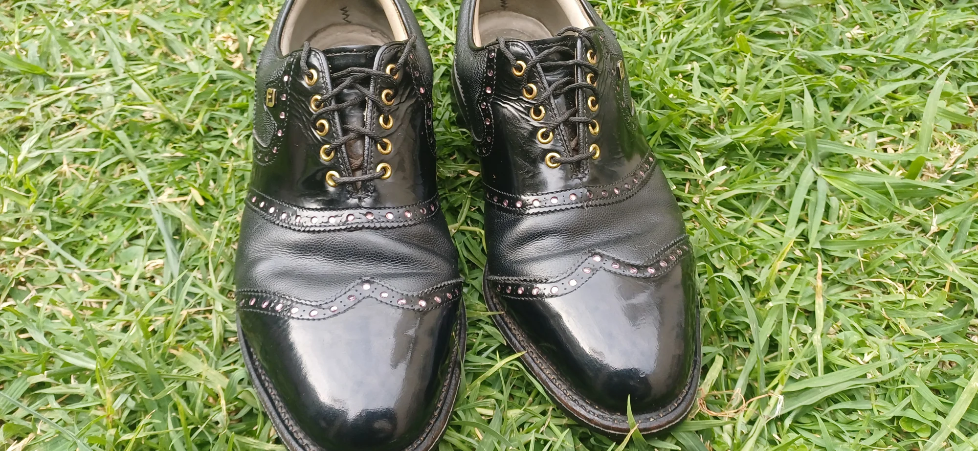 FOOTJOY PREMIERE Classic UK8.5